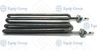 ТЭН APACH RTCU700284