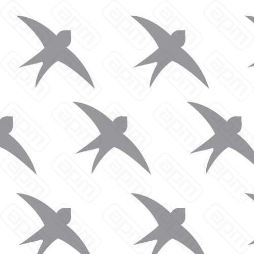 Трафарет для декора Птицы 60X40 см пластик GD21