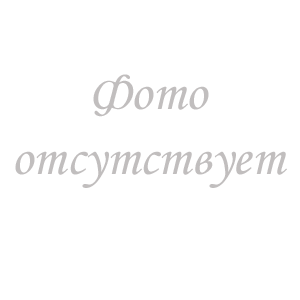 ПАРОКОНВЕКТОМАТ LAINOX FOODY FOEN101